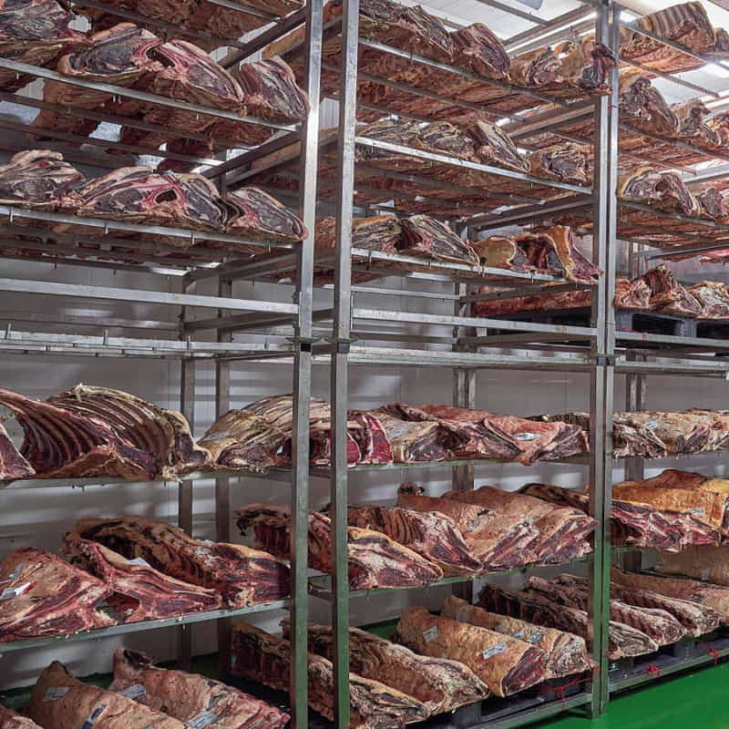 maduracion-dry-aged-especialidades-carnicas-EC_Munoz estantería de carnes maduradas